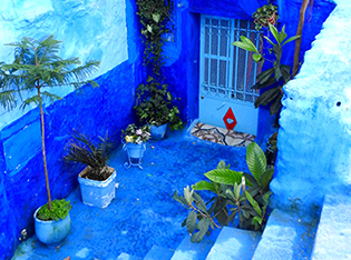 Magic Morocco