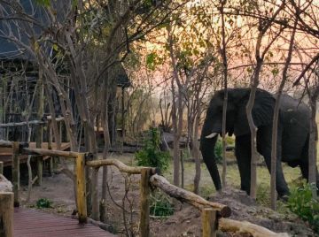 Khwai Expedition Camp Botswana